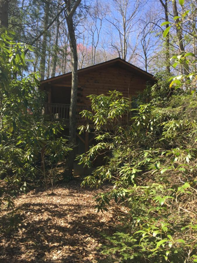 Misty Creek Log Cabins Maggie Valley Exterior foto